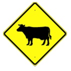 Cow Crossing Warning sign